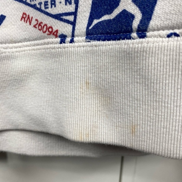 Champion Afterhood 100 Year Anniversary RARE Hoodie  COLLECTORS 1920’s Small - Picture 4 of 12